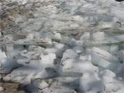 Aufgetrmt: Eisschollen liegen in meterdicken Packungen auf dem Haffstrand bei Kamminke.