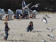 Fotografieren am Ostseestrand: Kinderspa und Mwenfttern.