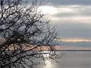 Silhouette: Dornenbusch vor der Kulisse von Achterwasser, Lieper Winkel und Gnitz.