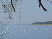 Fischerdorf Kamminke auf der Insel Usedom: Idylle am Sandstrand zum Stettiner Haff.