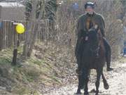 Auf dem Strand von Stubbenfelde: Wacker naht der/die Retter/in der Bernsteinhexe hoch zu Ross heran.