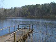 Waldsee "Schwarzes Herz" auf Usedom: Blick ber den idyllischen See am Zerninmoor.