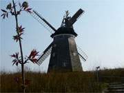 Das sehenswerte Hinterland der Insel Usedom: Die Hollnderwindmhle in Benz.