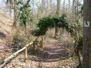 Ostseebad Koserow: Nahe am Kliffrand fhrt ein Wanderweg ber den Streckelsberg.