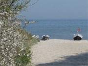 Frhling am Ostseestrand: Stubbenfelde, ein Ortsteil des Bernsteinbades Loddin.