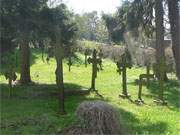 Friedhof in der kleinen Gemeinde Morgenitz auf der Insel Usedom.