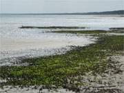 Der Norden der Ostseeinsel Usedom: Ostkste des Peenemnder Hakens.