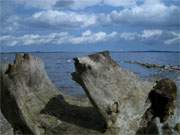 Blick ber das Achterwasser: Die Kste der Halbinsel Lieper Winkel.