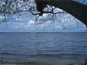 Der Lieper Winkel der Insel Usedom: Das Achterwasser zwischen Grssow und Warthe.