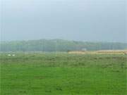 Frisch gegossen: Weites Wiesenland auf Usedom zwischen Loddin und Stubbenfelde.