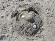 Ein Brchengesicht: Sandskulptur am Strand des Usedomer Ostseebades Trassenheide.