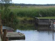 Usedomer Hinterland: Idyllischer Sportboothafen an der Krumminer Wiek.