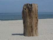 Ostseeinsel Usedom: Strandsand, Meer und Buhne sind beliebte Zutaten eines Strandfotos.