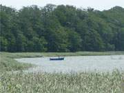 Die malerischen Ksten der Ostseeinsel Usedom: Fischerboot auf der Krumminer Wiek.