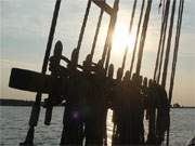 Mit dem Segelschiff auf dem Greifswalder Bodden — im Hintergrund die Halbinsel Struck.