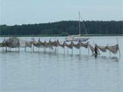 Naturerlebnis Insel Usedom: Blick vom Tannenberg bei Quilitz ber den Peenestrom.