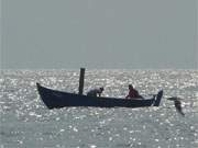 Mit Mwe: Fischerboot auf der Ostsee vor dem Usedomer Kaiserbad Ahlbeck.