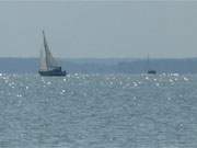 Usedomer Halbinsel Wolgaster Ort: Segelboote auf dem Peenestrom.