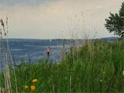 Baden trotz Regen: Strand am Achterwasser auf der Usedomer Halbinsel Gnitz.