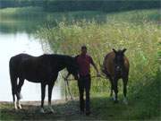 Naturerlebnis Insel Usedom: Pferdetrnken am Kleinen Krebssee im Hinterland der Usedomer Kaiserbder.