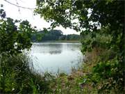 Zauberhafter Ausblick: Uferlandschaft am Kleinen Krebssee.