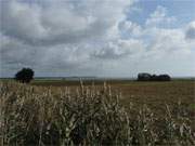 Stolpe auf der Insel Usedom: Regenwetter ber dem Usedomer Haffland.