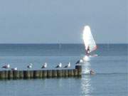 Unbewegte Ostsee: Das Segel eines Surfers blitzt in der Sommersonne.