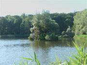 Eine Perle des Bernsteinbades Loddin: Die Schwaneninsel im Klpinsee.