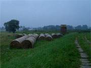 Weit "hinten" im Haffland der Insel Usedom: Gummlin am Oderhaff.