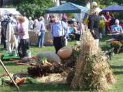 Sptsommerliches auf dem Kartoffelfest: Tradition im Seebad ckeritz.