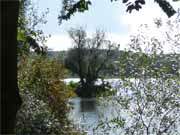 Erste Herbstfrbung: Das Ufer am Deichweg des Klpinsees.