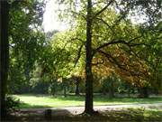 Herbst im Osten der Insel Usedom: Stadtpark in Swinemnde.