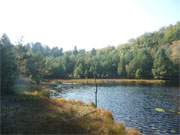 Idyll im Wald zwischen Bansin und ckeritz: Mmmelkensee.