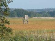 Idyll am Achterwasser: Wiesenland zwischen den Bernsteinbdern ckeritz und Loddin.