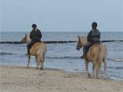 Fantastischer Reitweg: Der breite Ostseestrand des Bernsteinbades Loddin.