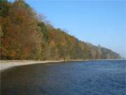 Khles Blau und warmes Gelb: Herbstfrbung am Haffstrand von Kamminke.