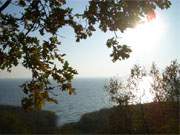 Herbstlaub: Blick ber das Haff von der Kste bei Kamminke auf Usedom.