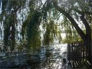 Idyll im Herbst: Ufer des Schmollensees in Stoben auf der Insel Usedom.