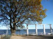 Blick ber die Ostsee: Die Strandpromenade des Bernsteinbades Koserow.