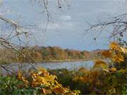 Kontrastreiche Insel Usedom: Buntes Herbstlaub und dunkle Wolken.