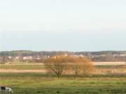 Wiesenland in der Mitte der Insel Usedom: Landschaft an der Melle.