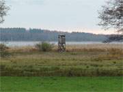 November am Achterwasser: Hochsitz fr die Jagd.