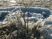 Eisornamente im Schilf: Winterurlaub im Bernsteinbad Zempin.