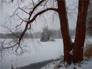 Winterliches Panorama: Die Schwaneninsel im Kpinsee.