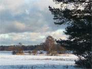 Bernsteinbad Loddin im Winter: Verschneites Wiesenland zwischen Klpinsee und Stubbenfelde.