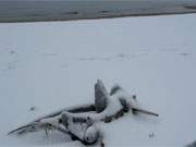 Es beginnt zu tauen: Trbes Wetter am Ostseestrand der Insel Usedom.