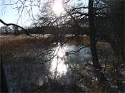 Gefrorenes Hochwasser: Der Balmer See in der Nhe der Usedomer Halbinsel Cosim.