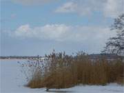 Berhrung von Achterwasser und Peenestrom: Mwenort auf der Usedomer Halbinsel Gnitz.