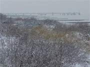 Verschwommen: Die Seebrcke des Bernsteinbades Koserow im Schneetreiben.