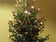 Weihnachtsbaum im "Haus des Gastes" des Bernsteinbades ckeritz.
